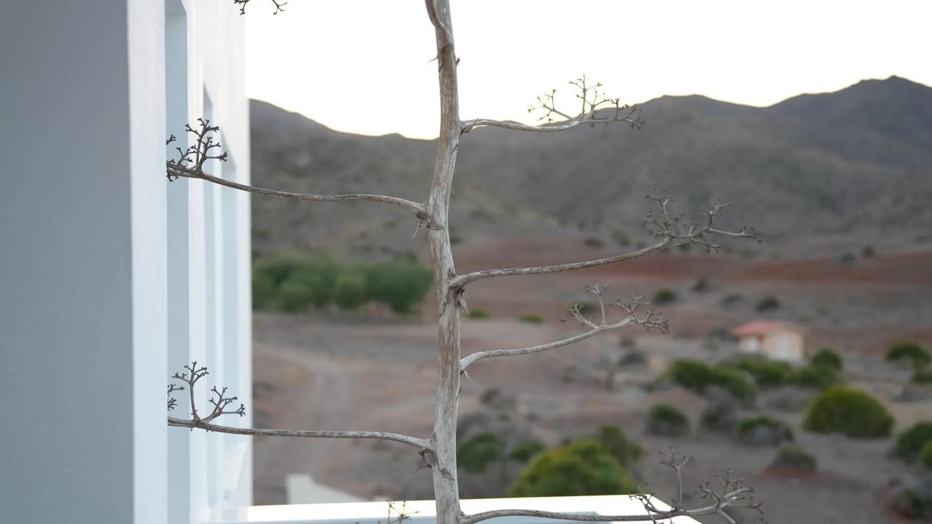 Senses Villa San Jose