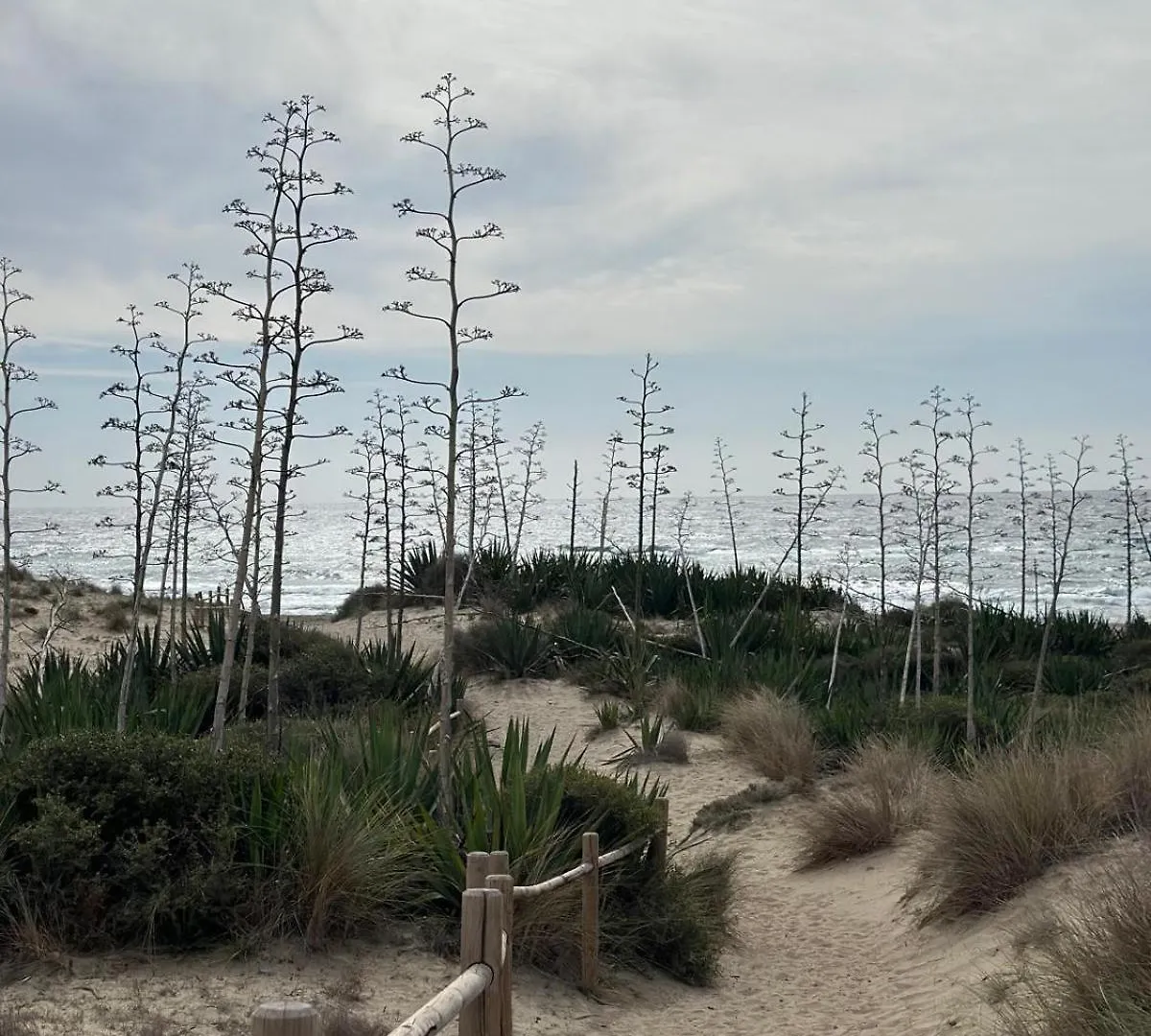 Senses Villa San Jose  0*, San Jose (Almeria) Spain